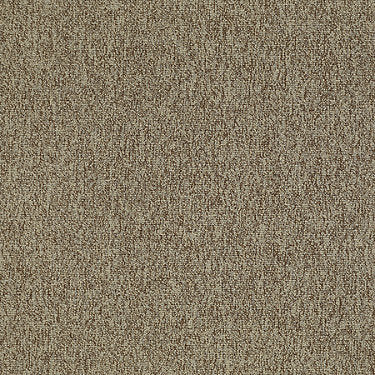 New Trade Residential Carpet by Philadelphia Commercial in the color Plethora. Sample of beiges carpet pattern and texture.