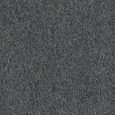 New Trade Residential Carpet by Philadelphia Commercial in the color Overflow. Sample of blues carpet pattern and texture.