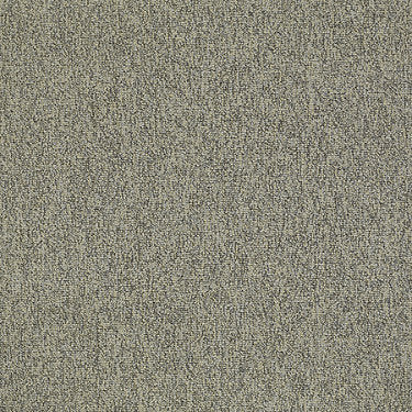 New Trade Residential Carpet by Philadelphia Commercial in the color Batch. Sample of grays carpet pattern and texture.