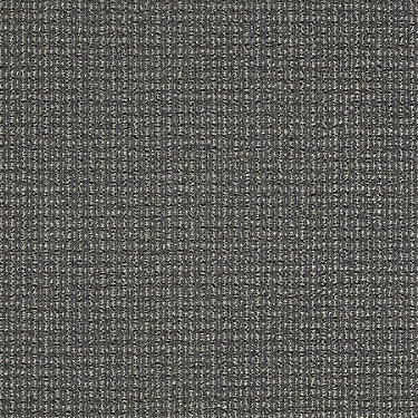 On The Move Residential Carpet by Philadelphia Commercial in the color To The Point. Sample of grays carpet pattern and texture.