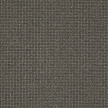 On The Move Residential Carpet by Philadelphia Commercial in the color On The Nose. Sample of grays carpet pattern and texture.