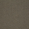 On The Move Residential Carpet by Philadelphia Commercial in the color That'S The Idea. Sample of browns carpet pattern and texture.