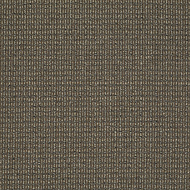 On The Move Residential Carpet by Philadelphia Commercial in the color That'S The Idea. Sample of browns carpet pattern and texture.