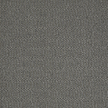 On Site Residential Carpet by Philadelphia Commercial in the color To The Point. Sample of grays carpet pattern and texture.