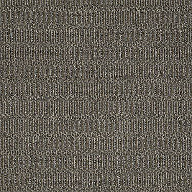 On Site Residential Carpet by Philadelphia Commercial in the color On The Nose. Sample of grays carpet pattern and texture.