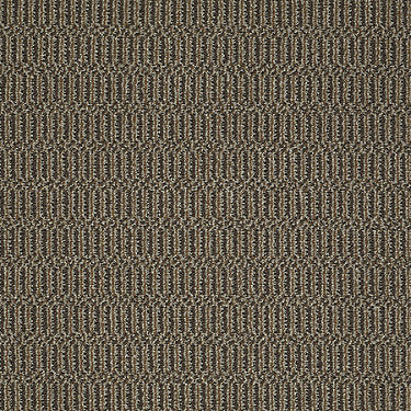 On Site Residential Carpet by Philadelphia Commercial in the color That'S The Idea. Sample of browns carpet pattern and texture.