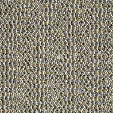 On Target Residential Carpet by Philadelphia Commercial in the color Right On. Sample of golds carpet pattern and texture.