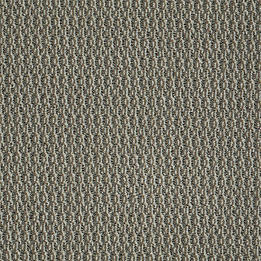 On Target Residential Carpet by Philadelphia Commercial in the color Sure Thing. Sample of grays carpet pattern and texture.