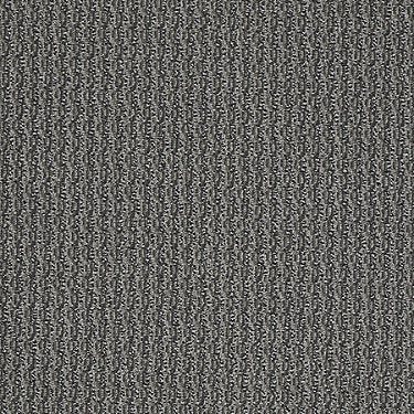 On Target Residential Carpet by Philadelphia Commercial in the color To The Point. Sample of grays carpet pattern and texture.