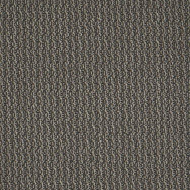 On Target Residential Carpet by Philadelphia Commercial in the color On The Nose. Sample of grays carpet pattern and texture.