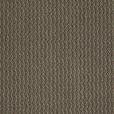 On Target Residential Carpet by Philadelphia Commercial in the color That'S The Idea. Sample of browns carpet pattern and texture.