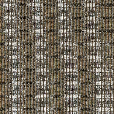 Be Present Commercial Carpet by Philadelphia Commercial in the color Strength. Sample of browns carpet pattern and texture.