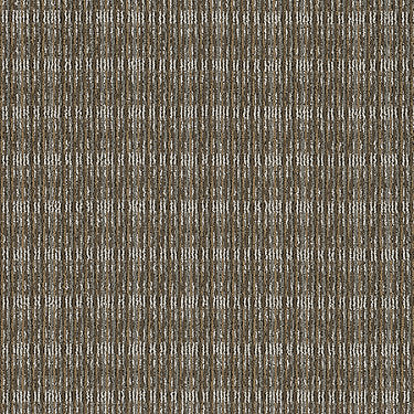 Be Present Commercial Carpet by Philadelphia Commercial in the color Strength. Sample of browns carpet pattern and texture.