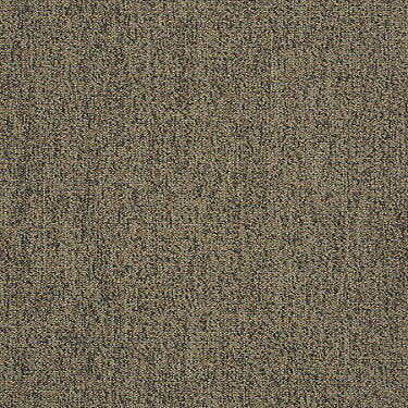 Scoreboard Ii 26 15' Slp Residential Carpet by Philadelphia Commercial in the color Time Out. Sample of golds carpet pattern and texture.