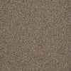 Scoreboard Ii 26 15' Slp Residential Carpet by Philadelphia Commercial in the color Kick Off. Sample of golds carpet pattern and texture.