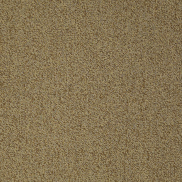 Scoreboard Ii 26 15' Slp Residential Carpet by Philadelphia Commercial in the color All Star. Sample of golds carpet pattern and texture.