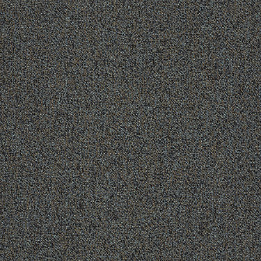 Scoreboard Ii 26 15' Slp Residential Carpet by Philadelphia Commercial in the color Touch Down. Sample of blues carpet pattern and texture.