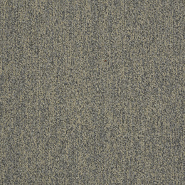 Scoreboard Ii 26 15' Slp Residential Carpet by Philadelphia Commercial in the color 10 To Go. Sample of grays carpet pattern and texture.