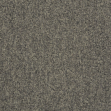 Scoreboard Ii 26 15' Slp Residential Carpet by Philadelphia Commercial in the color 4Th Quarter. Sample of grays carpet pattern and texture.