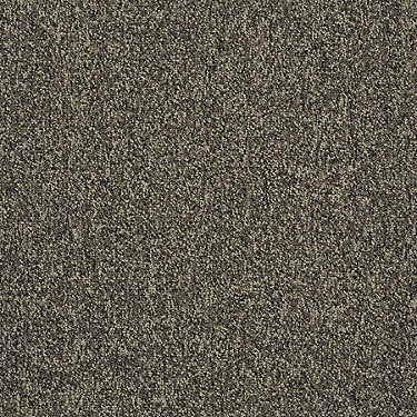 Scoreboard Ii 26 15' Slp Residential Carpet by Philadelphia Commercial in the color Grand Slam. Sample of grays carpet pattern and texture.