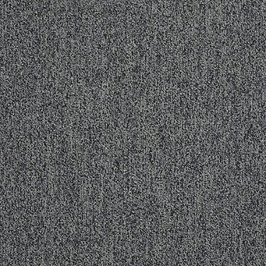 Scoreboard Ii 26 15' Slp Residential Carpet by Philadelphia Commercial in the color 2Nd Inning. Sample of grays carpet pattern and texture.