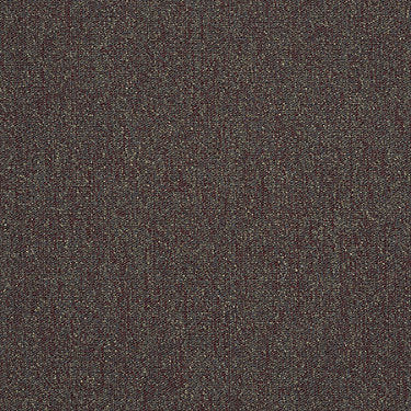 Scoreboard Ii 26 15' Slp Residential Carpet by Philadelphia Commercial in the color Bonus. Sample of browns carpet pattern and texture.