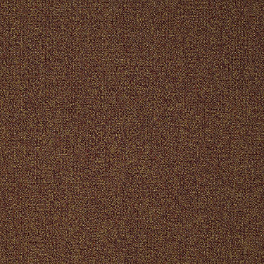 Scoreboard Ii 26 15' Slp Residential Carpet by Philadelphia Commercial in the color High Score. Sample of reds carpet pattern and texture.