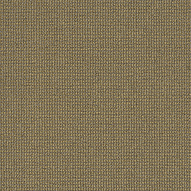 Dateline Today Commercial Carpet by Philadelphia Commercial in the color Episode. Sample of golds carpet pattern and texture.