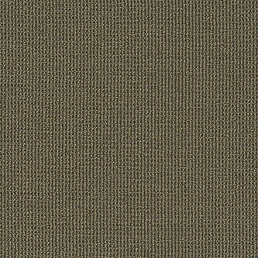 Dateline Today Commercial Carpet by Philadelphia Commercial in the color Editions. Sample of greens carpet pattern and texture.