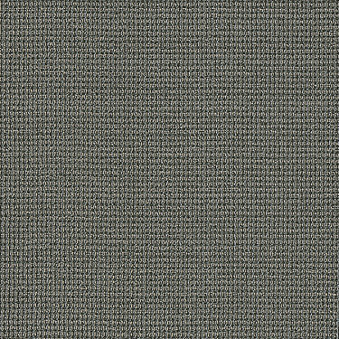 Dateline Today Commercial Carpet by Philadelphia Commercial in the color Coverage. Sample of grays carpet pattern and texture.