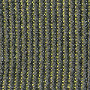 Dateline Today Commercial Carpet by Philadelphia Commercial in the color Program. Sample of grays carpet pattern and texture.