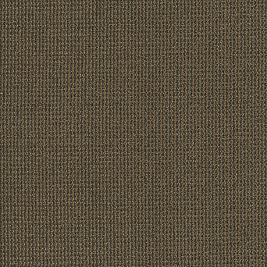 Dateline Today Commercial Carpet by Philadelphia Commercial in the color Exclusive. Sample of browns carpet pattern and texture.