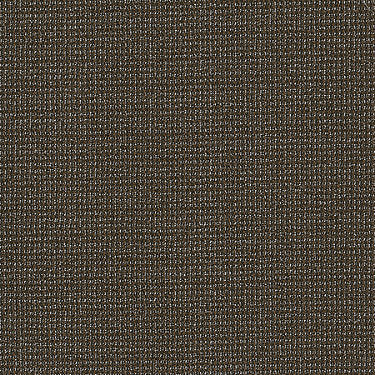 Dateline Today Commercial Carpet by Philadelphia Commercial in the color First Look. Sample of browns carpet pattern and texture.