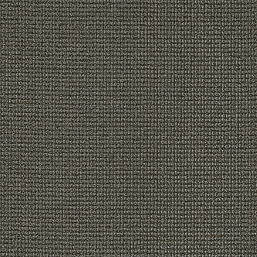 Dateline Today Commercial Carpet by Philadelphia Commercial in the color Primetime. Sample of browns carpet pattern and texture.