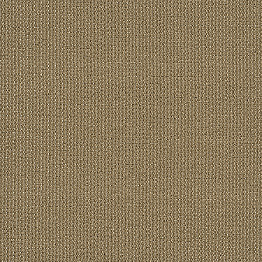 Dateline Today Commercial Carpet by Philadelphia Commercial in the color Spotlights. Sample of browns carpet pattern and texture.