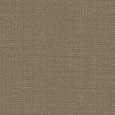 Dateline Today Commercial Carpet by Philadelphia Commercial in the color Top Stories. Sample of browns carpet pattern and texture.