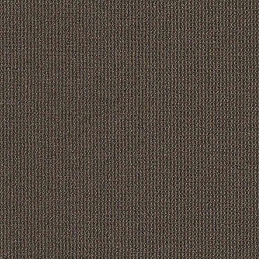 Dateline Today Commercial Carpet by Philadelphia Commercial in the color Anchors. Sample of browns carpet pattern and texture.