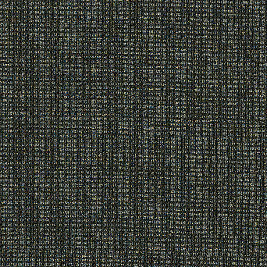 Dateline Today Commercial Carpet by Philadelphia Commercial in the color Segments. Sample of browns carpet pattern and texture.