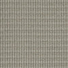 Fair Shake Commercial Carpet by Philadelphia Commercial in the color Conformity. Sample of beiges carpet pattern and texture.