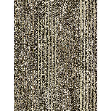 Square Deal Commercial Carpet by Philadelphia Commercial in the color Integrity. Sample of browns carpet pattern and texture.