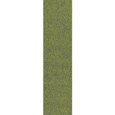 Basin Commercial Carpet by Philadelphia Commercial in the color Taiga. Sample of greens carpet pattern and texture.