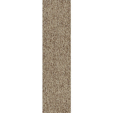 Basin Commercial Carpet by Philadelphia Commercial in the color Mesa. Sample of reds carpet pattern and texture.