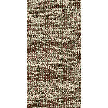 Tidewater Commercial Carpet by Philadelphia Commercial in the color Mesa. Sample of reds carpet pattern and texture.