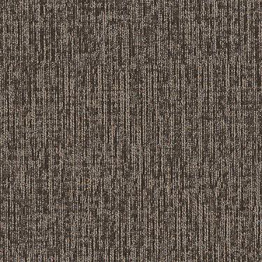 Vintage Weave Commercial Carpet by Philadelphia Commercial in the color Hayworth. Sample of browns carpet pattern and texture.