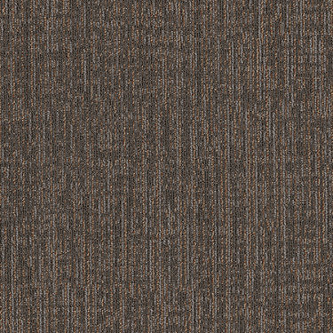 Vintage Weave Commercial Carpet by Philadelphia Commercial in the color Windsor. Sample of browns carpet pattern and texture.