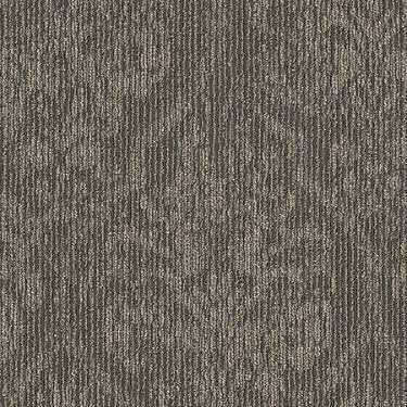 Classic Tradition Commercial Carpet by Philadelphia Commercial in the color Durham. Sample of grays carpet pattern and texture.