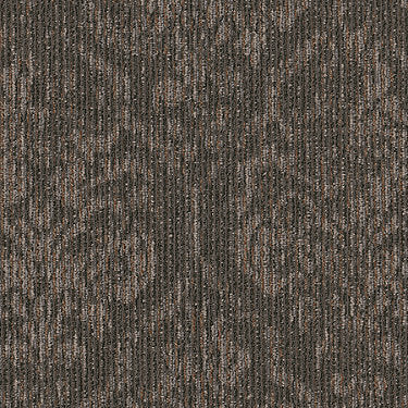 Classic Tradition Commercial Carpet by Philadelphia Commercial in the color Windsor. Sample of browns carpet pattern and texture.