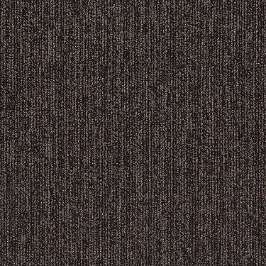 Step Right In Commercial Carpet by Philadelphia Commercial in the color Sashay. Sample of grays carpet pattern and texture.
