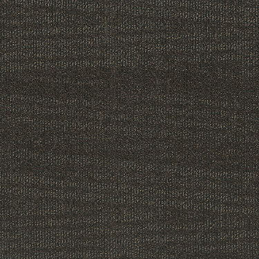 Take A Turn Commercial Carpet by Philadelphia Commercial in the color Saunter. Sample of browns carpet pattern and texture.