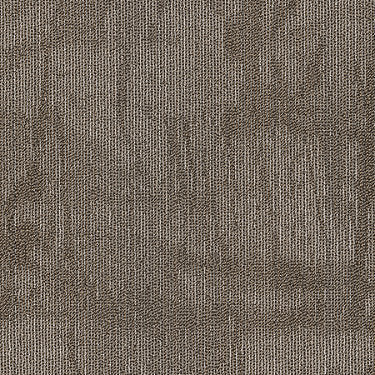 Chiseled Commercial Carpet by Philadelphia Commercial in the color Compose. Sample of golds carpet pattern and texture.